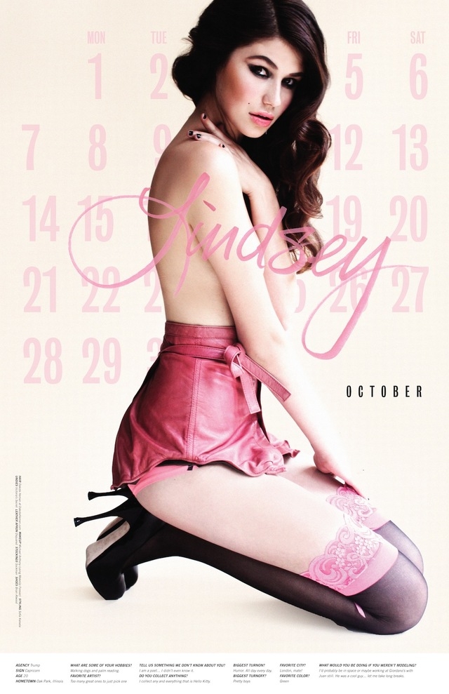 Lovecat Calendar ’12 (NSFW)