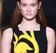 Versace A/W 2011 Collection